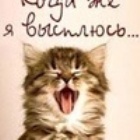 K@MИK@DZE